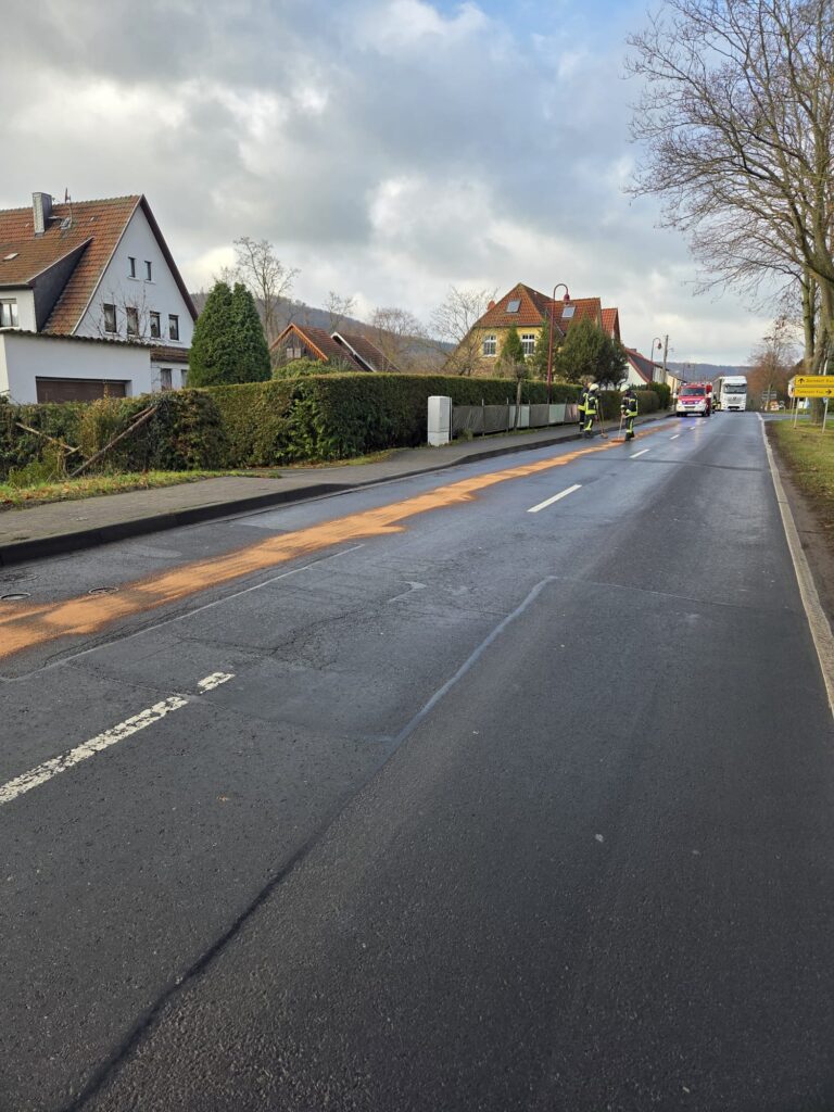 Zwei Feuerwehrleute stehen auf einer Vorstadtstraße in der Nähe von Häusern, auf denen eine orangefarbene Substanz verteilt ist. Im Hintergrund sind bei bewölktem Himmel Einsatzfahrzeuge zu sehen.