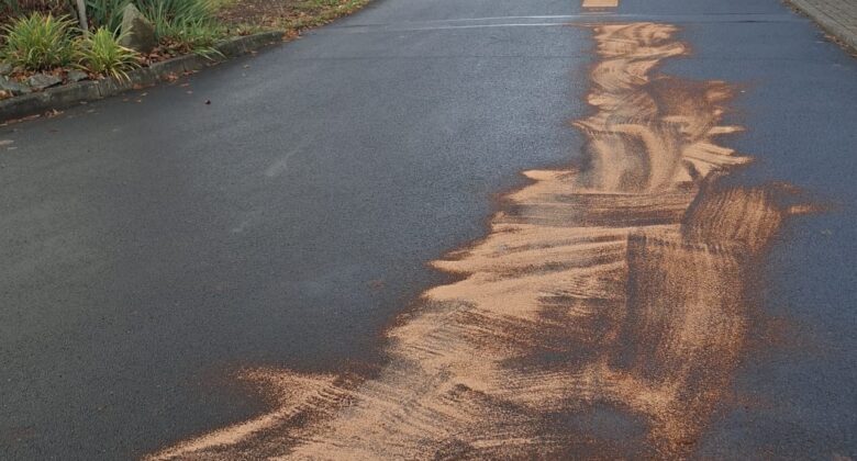 Mehrere Feuerwehrleute sind dabei, eine Straße zu säubern, indem sie saugfähiges Material ausbreiten, um eine lange Ölspur auf der Straße zu bedecken, wobei im Hintergrund ein Feuerwehrauto und Verkehrsschilder zu sehen sind. Bäume und Häuser säumen die Straßenränder.