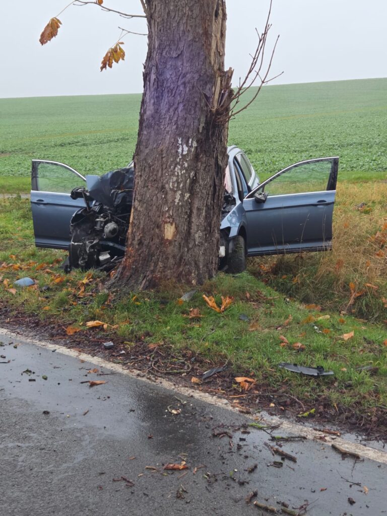 Ein Auto ist mit der Front stark beschädigt und gegen einen großen Baum am Straßenrand geprallt. Beide Vordertüren stehen offen, und Trümmerteile sind auf dem nassen Boden in der Nähe verstreut. Im Hintergrund sind ein Feld und ein bedeckter Himmel zu sehen.