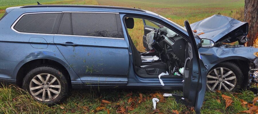 Ein blauer PKW ist mit der Frontpartie stark beschädigt, nachdem er auf einer Wiese in ländlicher Umgebung gegen einen Baum geprallt ist. Die Fahrertür ist offen, und die Airbags haben sich entfaltet. Der Boden ist mit nassen Blättern bedeckt.