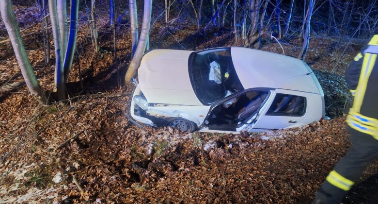 Ein weißes Auto ist nachts in einem Waldgebiet gegen einen Baum geprallt und an der Front beschädigt worden. Abgefallene Blätter bedecken den Boden, und eine Person in reflektierender Notfallkleidung steht in der Nähe. Blaue Notleuchten erhellen die Szene.