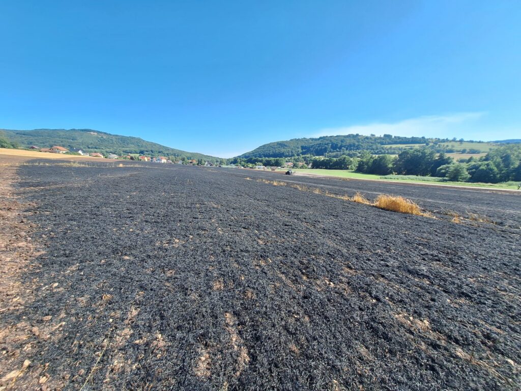 Ein weites Feld mit versengtem, geschwärztem Boden, umgeben von grünen Hügeln und Bäumen unter einem strahlend blauen Himmel, wobei am Horizont in der Ferne Häuser zu sehen sind.
