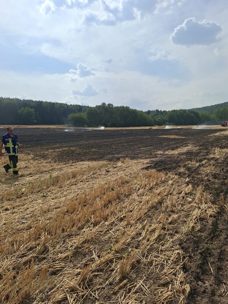 Ein Feuerwehrmann geht über ein verbranntes Feld, im Hintergrund ist Rauch zu sehen. Der Himmel ist teilweise bewölkt, und an das Feld grenzt ein Waldgebiet. Auf dem Boden sind sowohl verkohlte als auch unverbrannte Stoppeln zu sehen.