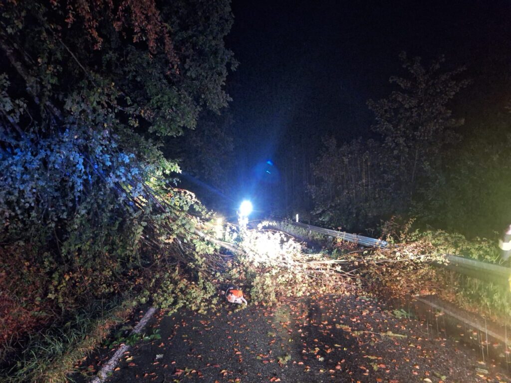 Ein großer Baum ist nachts über eine dunkle Straße gestürzt und blockiert beide Fahrspuren. Helles Licht erhellt die Szene, und auf dem Boden liegen verstreute Blätter.