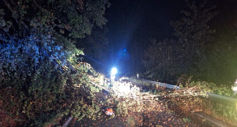 Ein großer Baum ist nachts über eine dunkle Straße gestürzt und blockiert beide Fahrspuren. Helles Licht erhellt die Szene, und auf dem Boden liegen verstreute Blätter.