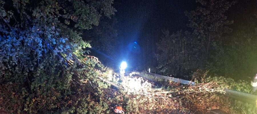 Ein großer Baum ist nachts über eine dunkle Straße gestürzt und blockiert beide Fahrspuren. Helles Licht erhellt die Szene, und auf dem Boden liegen verstreute Blätter.