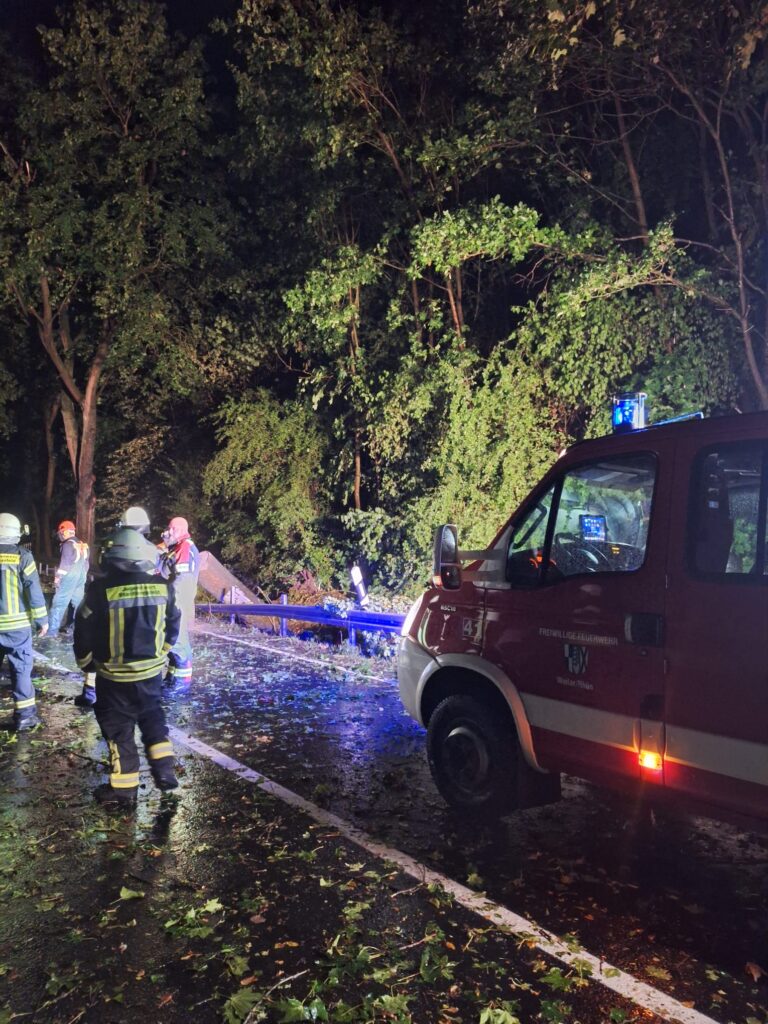 Feuerwehrleute in reflektierender Kleidung stehen nachts auf einer nassen Straße neben einem roten Feuerwehrauto und heruntergefallenen Ästen, die von Blaulicht beleuchtet werden. Dichte Bäume säumen den Straßenrand.