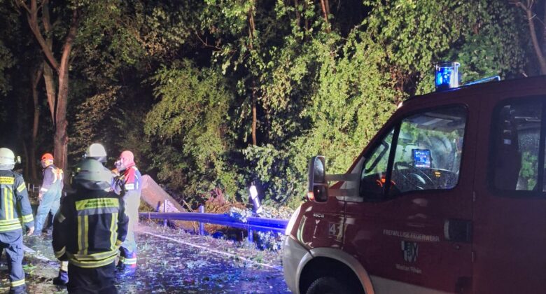 Feuerwehrleute in reflektierender Kleidung stehen nachts auf einer nassen Straße neben einem roten Feuerwehrauto und heruntergefallenen Ästen, die von Blaulicht beleuchtet werden. Dichte Bäume säumen den Straßenrand.