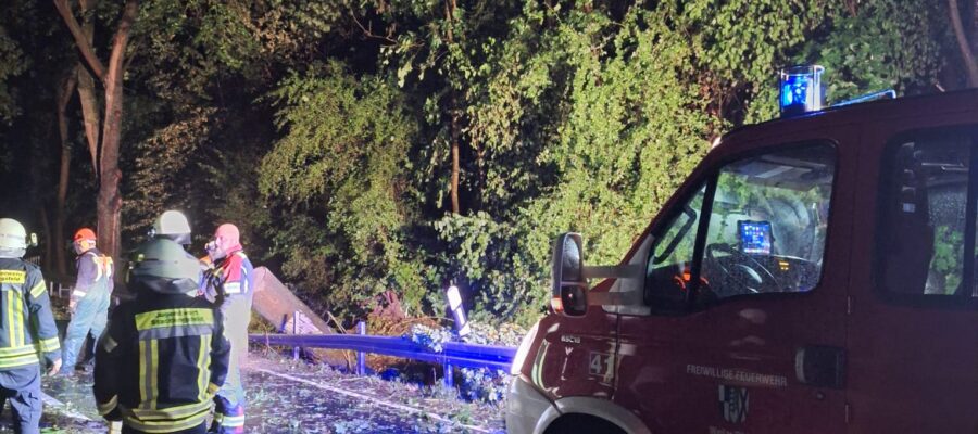 Feuerwehrleute in reflektierender Kleidung stehen nachts auf einer nassen Straße neben einem roten Feuerwehrauto und heruntergefallenen Ästen, die von Blaulicht beleuchtet werden. Dichte Bäume säumen den Straßenrand.