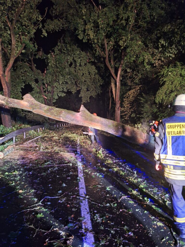 Ein großer umgestürzter Baum versperrt nachts eine Straße, während Rettungskräfte in Warnkleidung daran arbeiten, die Trümmer zu beseitigen.