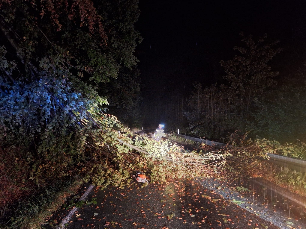 In der Nacht ist ein großer Baum über eine nasse Straße gestürzt und blockiert nun beide Fahrspuren. Blätter, Äste und Trümmer sind verstreut, und der Bereich wird nur schwach von Scheinwerfern oder Warnleuchten beleuchtet.