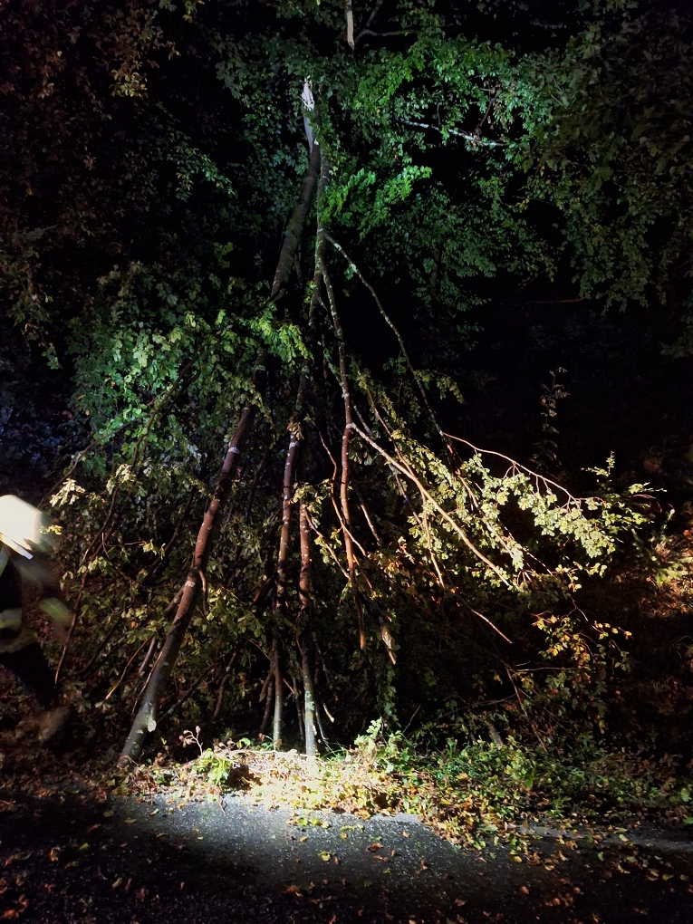 Ein großer Baum ist nachts über eine dunkle Straße gestürzt. Der Stamm und die Äste werden von einem hellen Licht beleuchtet, während auf der linken Seite des Bildes eine Person teilweise zu erkennen ist.