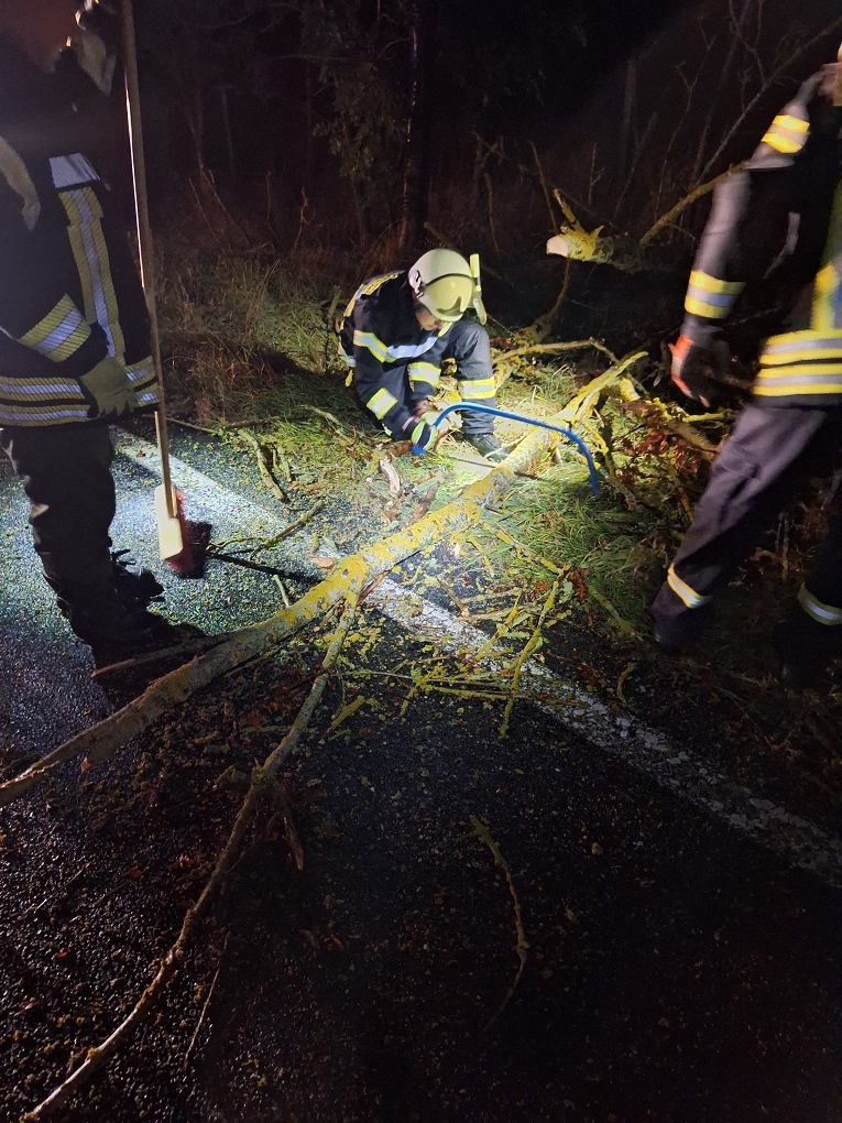 Drei Feuerwehrleute in reflektierender Kleidung räumen nachts einen umgestürzten Baum von einer nassen Straße. Ein Feuerwehrmann kniet nieder und sägt mit einer Kettensäge die Äste ab, während die anderen daneben stehen und ihm helfen.