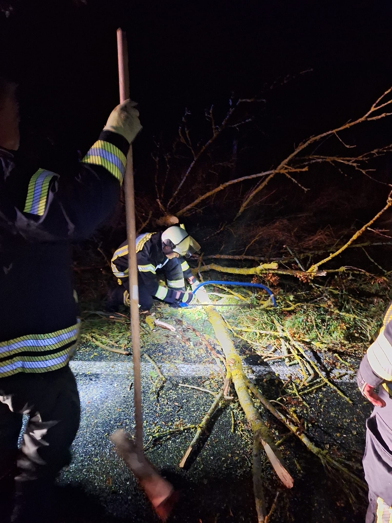 Mehrere Feuerwehrleute in reflektierender Schutzkleidung arbeiten nachts daran, einen umgestürzten Baum von einer nassen Straße zu entfernen, wobei sie mit Werkzeugen und Taschenlampen die Trümmer beseitigen.