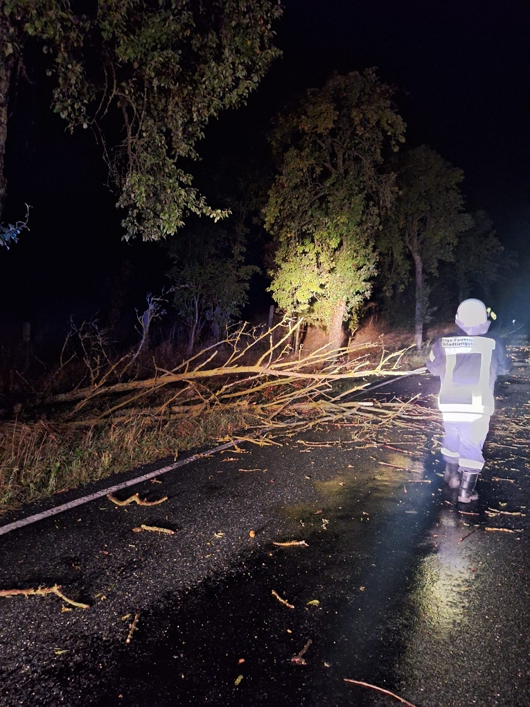 Ein Feuerwehrmann in reflektierender Schutzkleidung nähert sich nachts einem großen umgestürzten Baum, der eine nasse Straße versperrt, während Blaulicht die Szene beleuchtet.