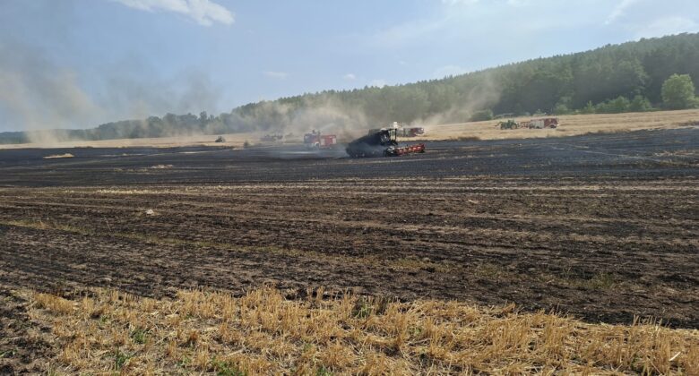 Ein verbranntes Feld, über dem Rauch aufsteigt, mehrere Löschfahrzeuge und Feuerwehrleute, die daran arbeiten, das Feuer unter Kontrolle zu bringen; im Hintergrund ist unter einem teilweise bewölkten Himmel ein Waldgebiet zu sehen.