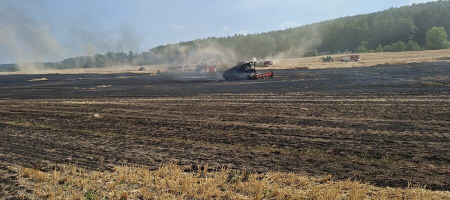 Ein verbranntes Feld, über dem Rauch aufsteigt, mehrere Löschfahrzeuge und Feuerwehrleute, die daran arbeiten, das Feuer unter Kontrolle zu bringen; im Hintergrund ist unter einem teilweise bewölkten Himmel ein Waldgebiet zu sehen.